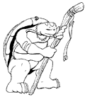 Thumbnail: JC Turtle #1