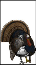 Thanksgiving-Themed Turkey Monster Figure Flats