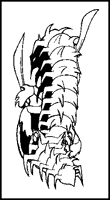Thumbnail: Centipede (B)